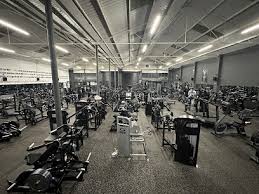 Image result for The Gym Centre & The Cheltenham School Of Gym