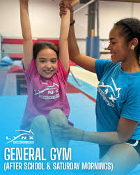 Image result for Lynx Gymnastics Club