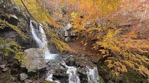 Image result for cascate del dardagna