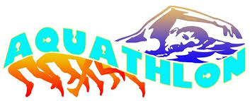 Image result for Aquathlon