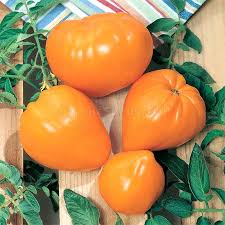 Afbeeldingsresultaat voor butter and bull heart tomato