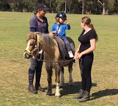 Image result for Riding For The Disabled Association