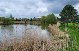 Image result for Castle Donington Town Bowls Club