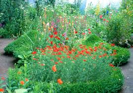 Image result for Priona Tuinen