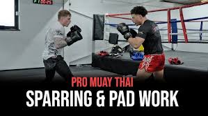 Image result for Stoke on Trent Thai Boxing Club