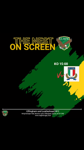 Image result for Effingham and Leatherhead Rfc