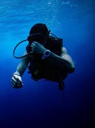 Image result for Blue Water Diving
