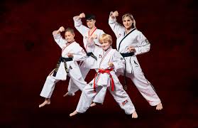 Image result for ATA Martial Arts Maple Ridge