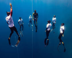 Image result for Duchy Divers