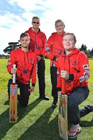 Image result for Wandham Cricket Club