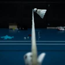 Image result for Guildford and District Badminton League