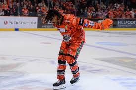 Image result for Sheffield Steelers