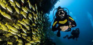 Image result for Lincoln & District BSAC 0109