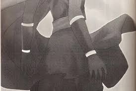 「アリアンナ・ハヤマ・アリアルディ カンピオーネ！」の画像検索結果