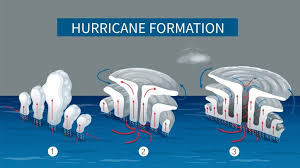 Image result for Hurricanes