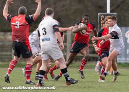 Image result for Crewe & Nantwich Rugby Union Football Club