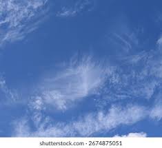 Attēlu rezultāti vaicājumam “Cirrus fibratus”