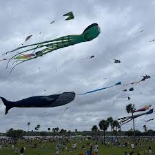 Image result for Kent Kite Flyers Club