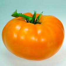 Afbeeldingsresultaat voor amana orange beefsteak tomato