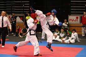 Image result for HEIWA SHOTOKAN KARATE CLUB