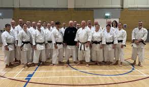 Image result for Inyo Karate Do Ninbukan