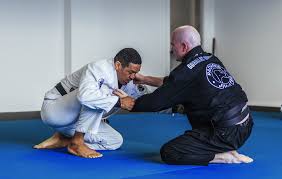 Image result for Hachidori ju-jitsu Martial Arts