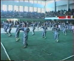 Image result for Shaolin Ancestors kung Fu School