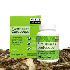 Attēlu rezultāti vaicājumam “Cordyceps polyarthra”