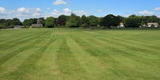 Image result for Forest Green Cricket Club