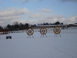 Image result for Surrey Bowmen