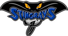 Image result for Kingston Upon Hull Hockey Club