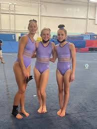 middle school girl gymnast|Young gymnasts carrying Wantagh | Herald Community ...