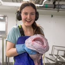 Image result for blobfish