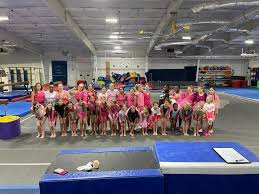 Image result for Gym Stars
