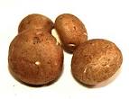 Mushroom ID Chart