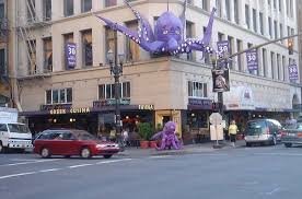 Image result for Octopushy (Croydon Area)