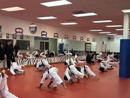 Image result for Worthington Martial Arts Institute