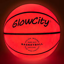 Image result for Blackpool Lights Basketball Club
