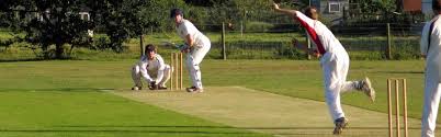 Image result for Purton Cricket Club