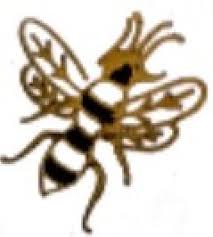 Image result for Rochdale Hornets