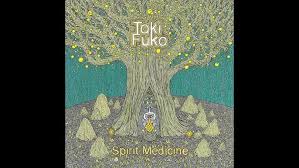 Image result for fuko