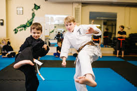 Image result for Soncho Karate Club