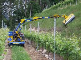 Image result for marolin tehron