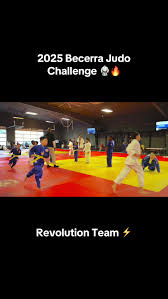 Image result for Revolution Dojo