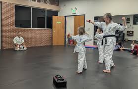 Image result for Aylesbury Vale Seido Karate