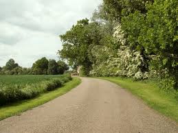 Image result for Stebbing Bowling Club