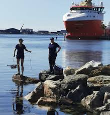 Image result for Myzopsetta ferruginea