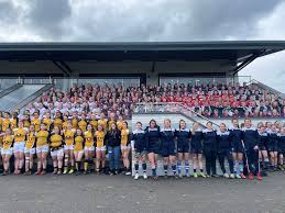 Image result for Burton Rugby Football Club Ltd