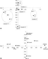 Attēlu rezultāti vaicājumam “Cinclidotus danubicus cells”