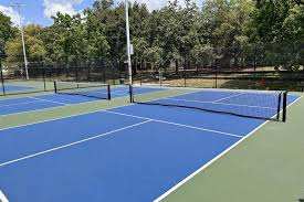 Image result for 1st New Forest Pickleball Club